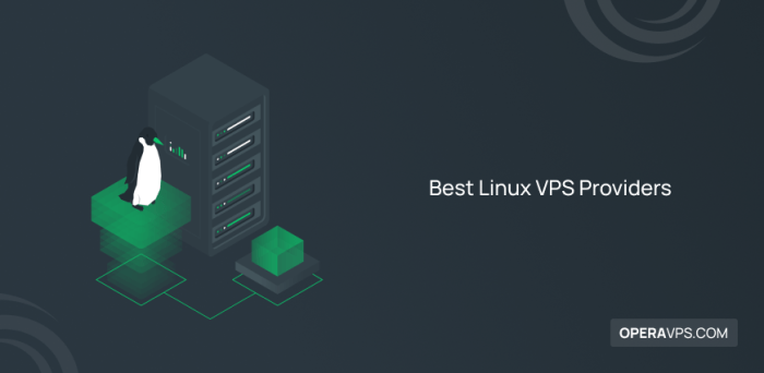 Best Linux VPS Providers Top 10 of 2025 [Comparison]