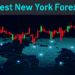 Best New York Forex VPS of the USA for Forex Traders